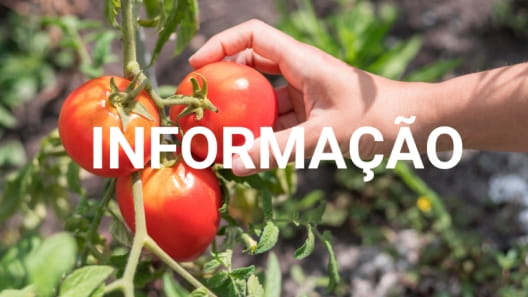 informacao