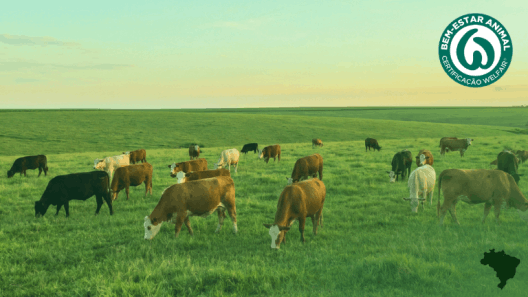 Certis Brasil Bem Estar Animal